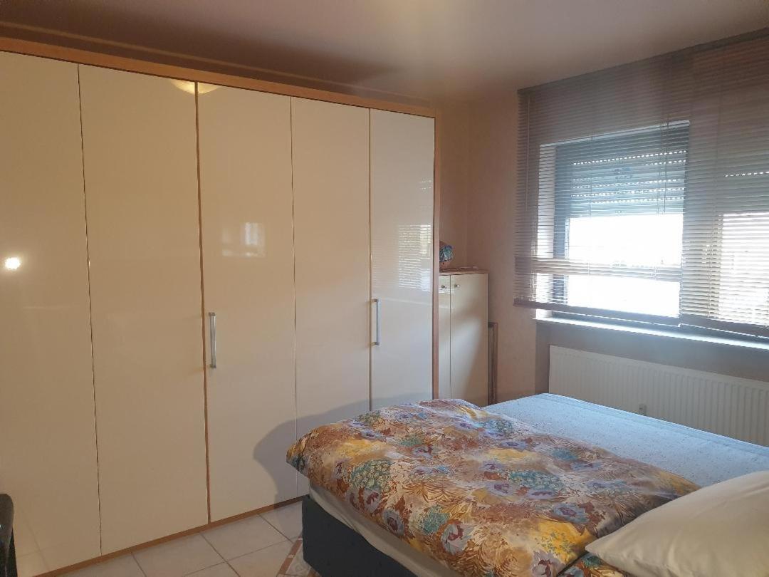 Rose'S Ferienwohnung Freigericht Exteriér fotografie